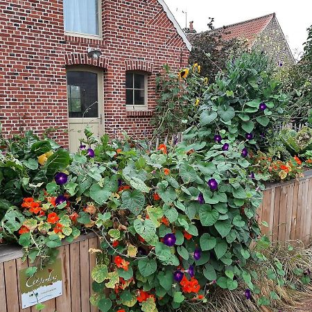 Villa Les Jardins d'Olus à Wandignies-Hamage Extérieur photo